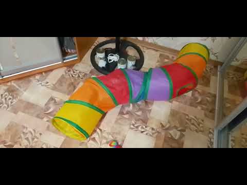 Видео: ЧТО НАДО ЗНАТЬ О ПОГОДЕ!🌧️☔!НАЧАЛА ОТОПИТЕЛЬНЫЙ СЕЗОН!🥰😺