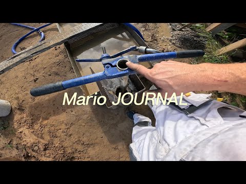 Видео: Сосновый бор