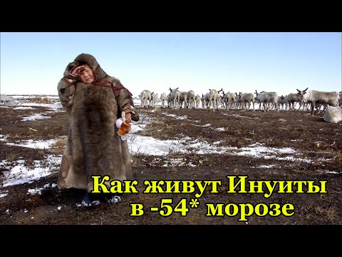 Видео: КАК ЖИВУТ ИНУИТЫ В -54 ГРАДУСНОМ МОРОЗЕ