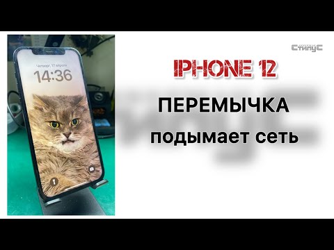 Видео: iPhone 12  после попадания воды