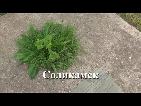 Видео: Возвращение имён. Соликамск.