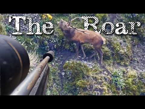 Видео: Охота в дикой местности | Преследование оленей | Ревущие приключения с востока на запад