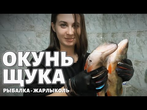 Видео: РЫБАЛКА МЕЧТЫ - ОТЛИЧНЫЙ УЛОВ - ЩУКА и ОКУНЬ