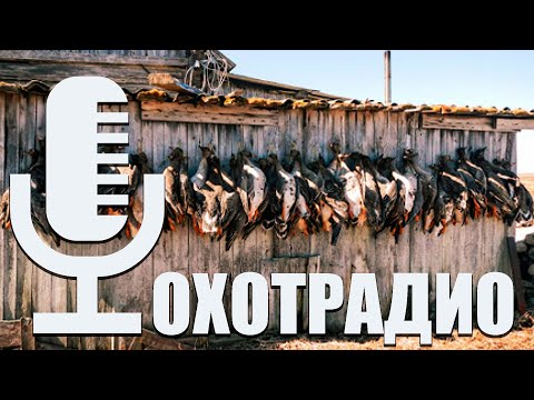 Видео: ЧЕ ПРОИСХОДИТ С ВЕСЕННЕЙ ОХОТОЙ???🔴ОхотРадио