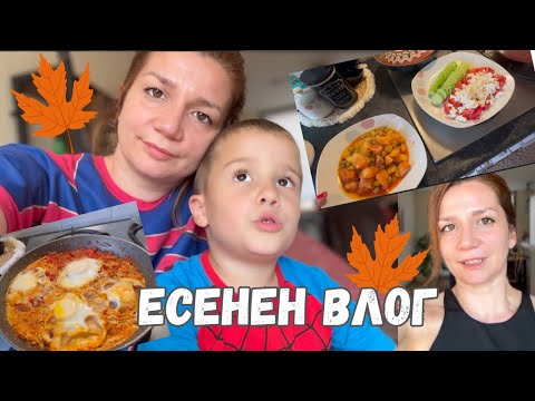 Видео: ЕСЕНЕН ВЛОГ🍂Рецепта за ШАКШУКА ~ Покупки