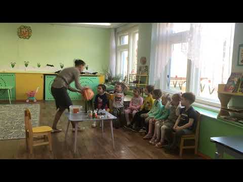 Видео: Занятие по познавательному развитию в младшей группе "Домашние животные"