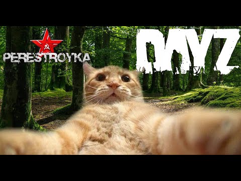 Видео: DayZ Три клана столкнулись в долгоиграющем бою - Админские будни