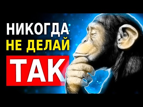 Видео: Никогда Не Делай ЭТИ 6 Вещей! (Мудрость Жизни)
