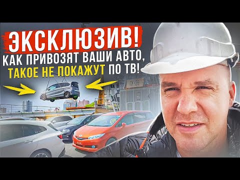 Видео: Разгрузка автомобилей из Японии во Владивостоке. Показываем пришедшую технику и заказанные авто