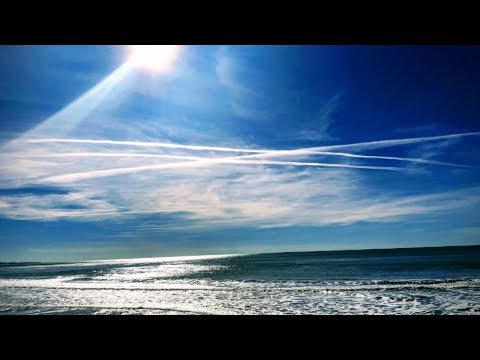 Видео: Только вперед!