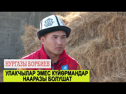 Видео: 1+1 Нургазы Борбиев\Көк бөрү калыстары бир оюнга канча сом алат?