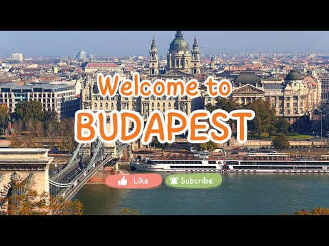 Видео: Дотоварих 8 палета от Будапеща @kaloyankirilov7 