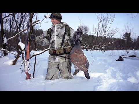 Видео: МОЯ ЛУЧШАЯ ЗИМНЯЯ ОХОТА! / ДОБЫЛ ТРОФЕЙ! / ОХОТА НА ГЛУХАРЯ С ЛУНОК / УНИКАЛЬНЫЕ КАДРЫ /МР-155 Profi