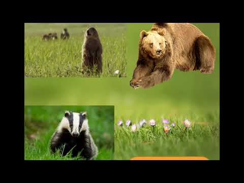 Видео: Сабак 3 мекен таануу Баткен шаары В И Ленин ат ОМ Таштемирова Минавар Шараповна