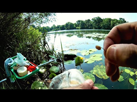 Видео: Рыбалка в жару  Где искать рыбу в жару.