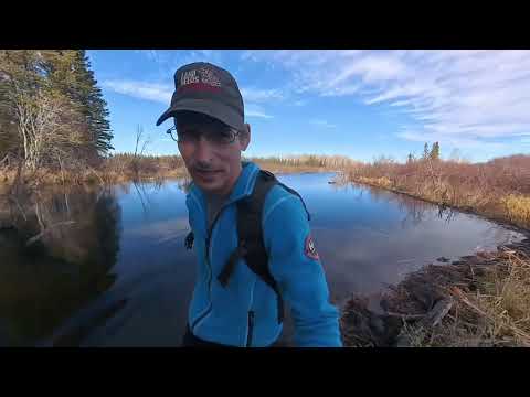 Видео: Назад на мой траплайн