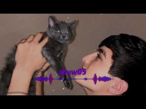 Видео: ты звезда ❤️