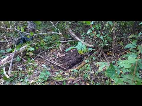 Видео: Коп металлолома. 17 сентября 2023 года. нашёл перспективное место с хорошим железом.