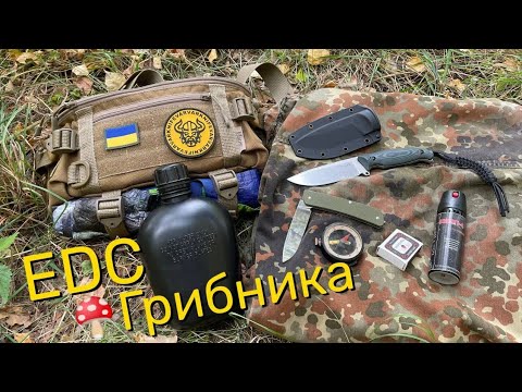 Видео: EDC Мисливця за грибами 🍄