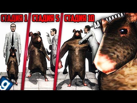 Видео: КАЖДУЮ МИНУТУ Я СТАНОВЛЮСЬ СИЛЬНЕЕ! НОВЫЙ SCP - SCP-1318 КОРОЛЬ КРЫС в GMOD SCP RP