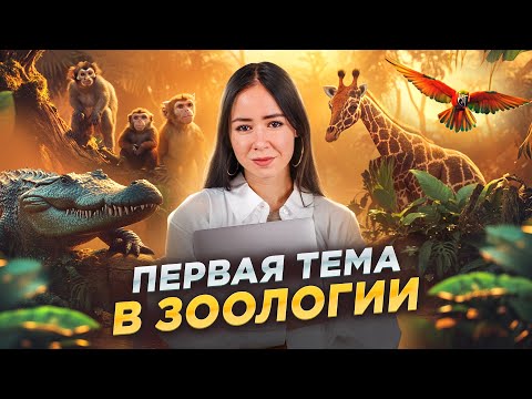 Видео: Все о простейших для ЕГЭ: первая тема в зоологии I Умскул