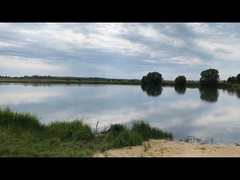 Видео: село Саполга. Пруд ГАЙ 🎣