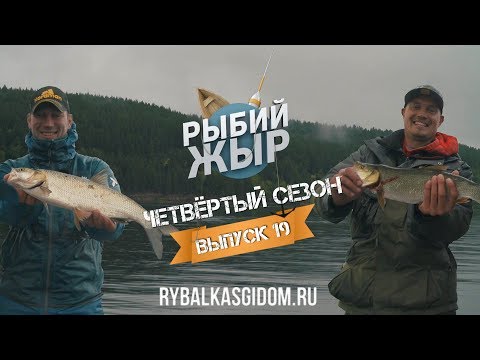 Видео: Осенняя рыбалка на Нижнекамском водохранилище. Рыбий жЫр 4 сезон выпуск 19