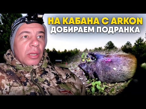 Видео: Ночной добор секача | Честно об охоте | Охота с Arkon Alfa II LT35