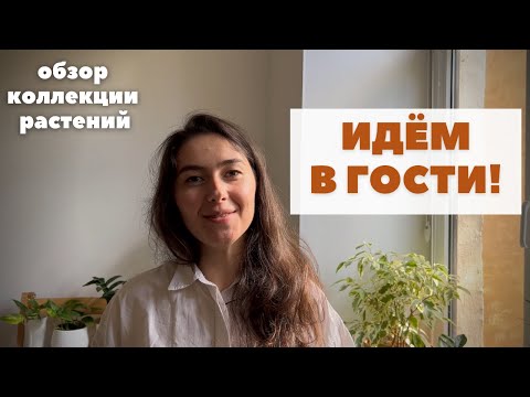 Видео: В гостях у моей подписчицы Елены / ОБЗОР коллекции КОМНАТНЫХ РАСТЕНИЙ