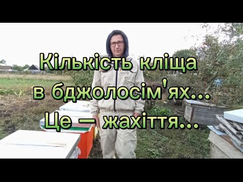 Видео: Боротьба з кліщем на пасіці. Фінальний етап.