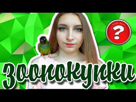 Видео: ЗООПОКУПКИ ЧТО КУПИЛА ДЛЯ ПОПУГАЯ КАКОЙ ХОРОШИЙ И УЖАСНЫЙ КОРМ ЧТО ВЫБРАТЬ ДЛЯ ПТИЧКИ