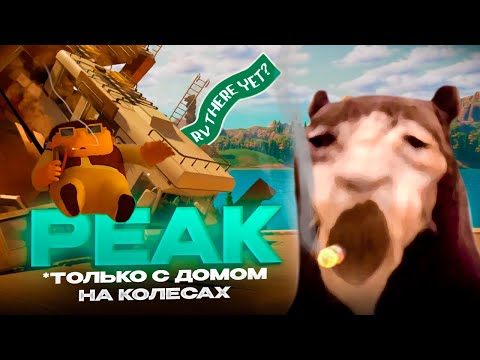 Видео: Давг ищет МЕДВЕДЯ в RV THERE YET?