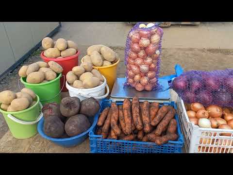 Видео: Торговля На Рынке//Сколько я  зарабатываю???