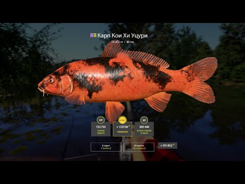 Видео: Отличный фарм серебра на Медном. Обзор точек клева. Русская рыбалка 4. РР4.