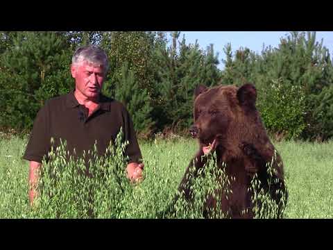 Видео: Охотничий минимум. Выпуск 5