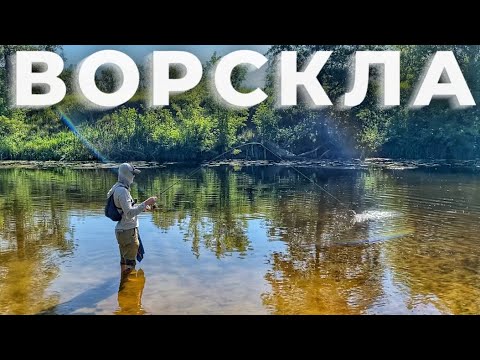Видео: Рай для РИБАКА! Риболовля на річці ВОРСКЛА!