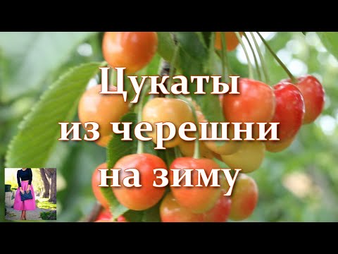 Видео: Цукаты в магазине не покупаю. Делаю сама! Домашние цукаты из черешни - супер изюм! Черешня на зиму