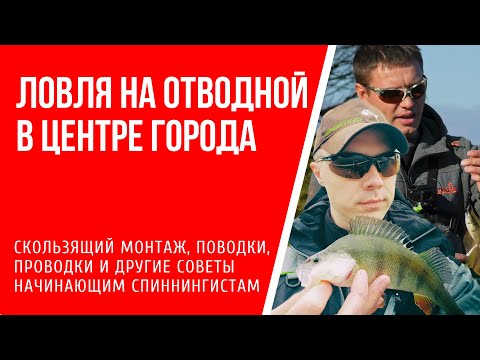 Видео: Ловля на отводной поводок: советы начинающим