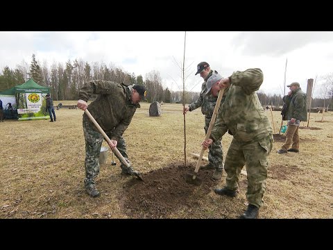 Видео: Лукашенко: Ну, расти! // Хатынь. Республиканский субботник