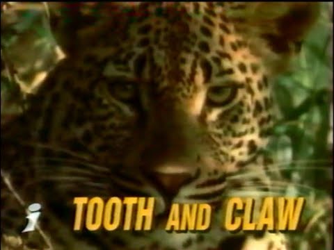 Видео: д/ф Хижаки - Зуб та кіготь | Інтер, 2003