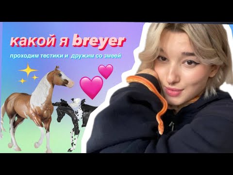 Видео: КАКОЙ Я BREYER? проходим странные тесты