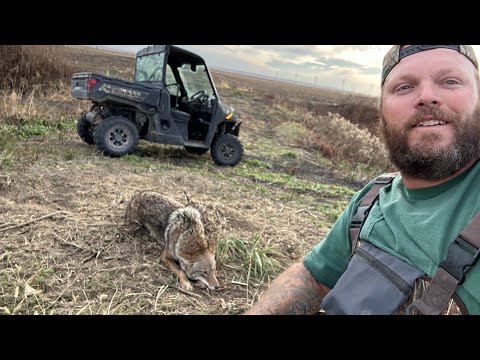 Видео: На линии ловушек с TRAPPER J EP.2 ВЫДРА ПЫТАЛАСЬ НАПАДАТЬ НА МЕНЯ!