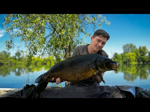 Видео: «Предгорье» часть 1