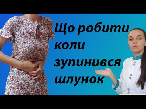 Видео: Що робити коли зупинився шлунок ? Як допомогти солбі при зупинці травлення, відчутті стояння їжі ?