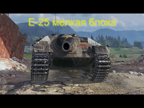 Видео: E 25 Забытая Легенда Тащит Бой! #wot #worldoftanks