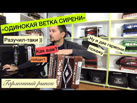 Видео: Разучил ОДИНОКАЯ ВЕТКА СИРЕНИ ))) Ничего сложного, просто не хотел )))