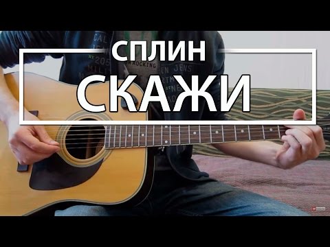 Видео: Как играть "Скажи" - Сплин (Разбор для гитары, Аккорды, Табы, видеоурок Сплин)