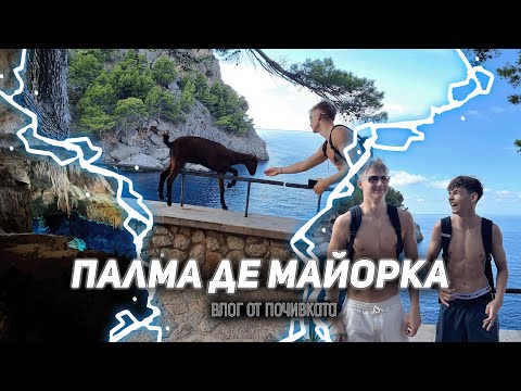 Видео: ПАЛМА ДЕ МАЙОРКА! Влог от рая на земята
