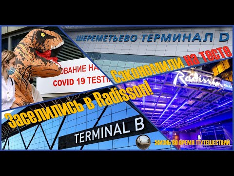 Видео: Москва, Шереметьево - сэкономили на тесте, заселились в Radisson Blu