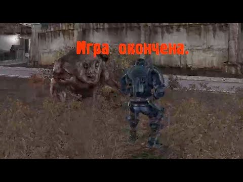 Видео: Самый Мерзкий Мутант - STALKER Истинный Путь 2.1 #10